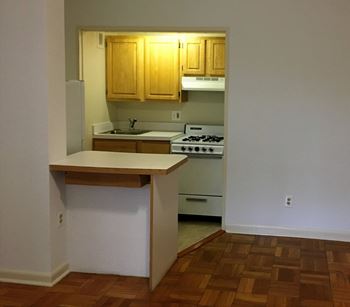 Charming kitchenette style layout
